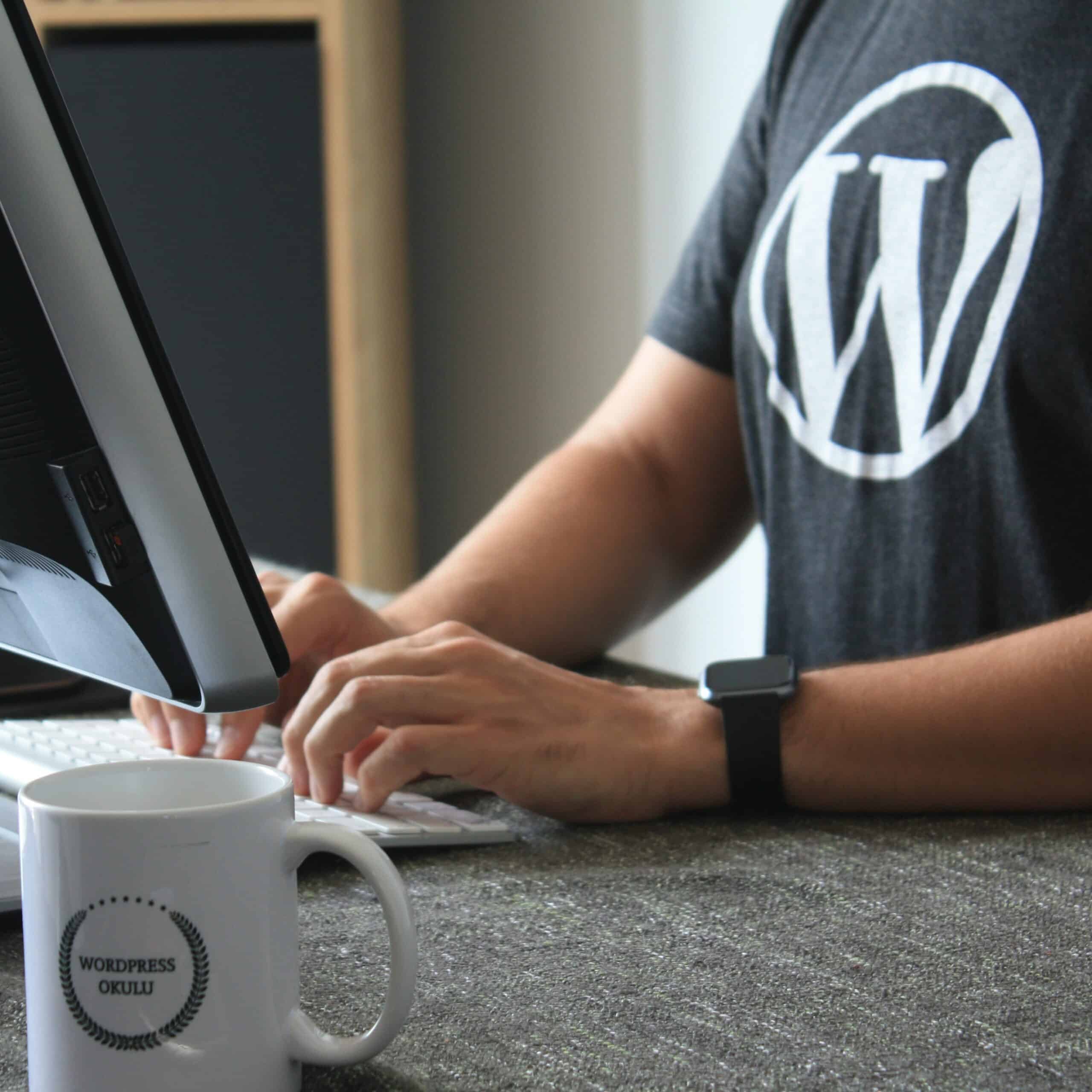 Problemi di vulnerabilità su CMS WordPress
