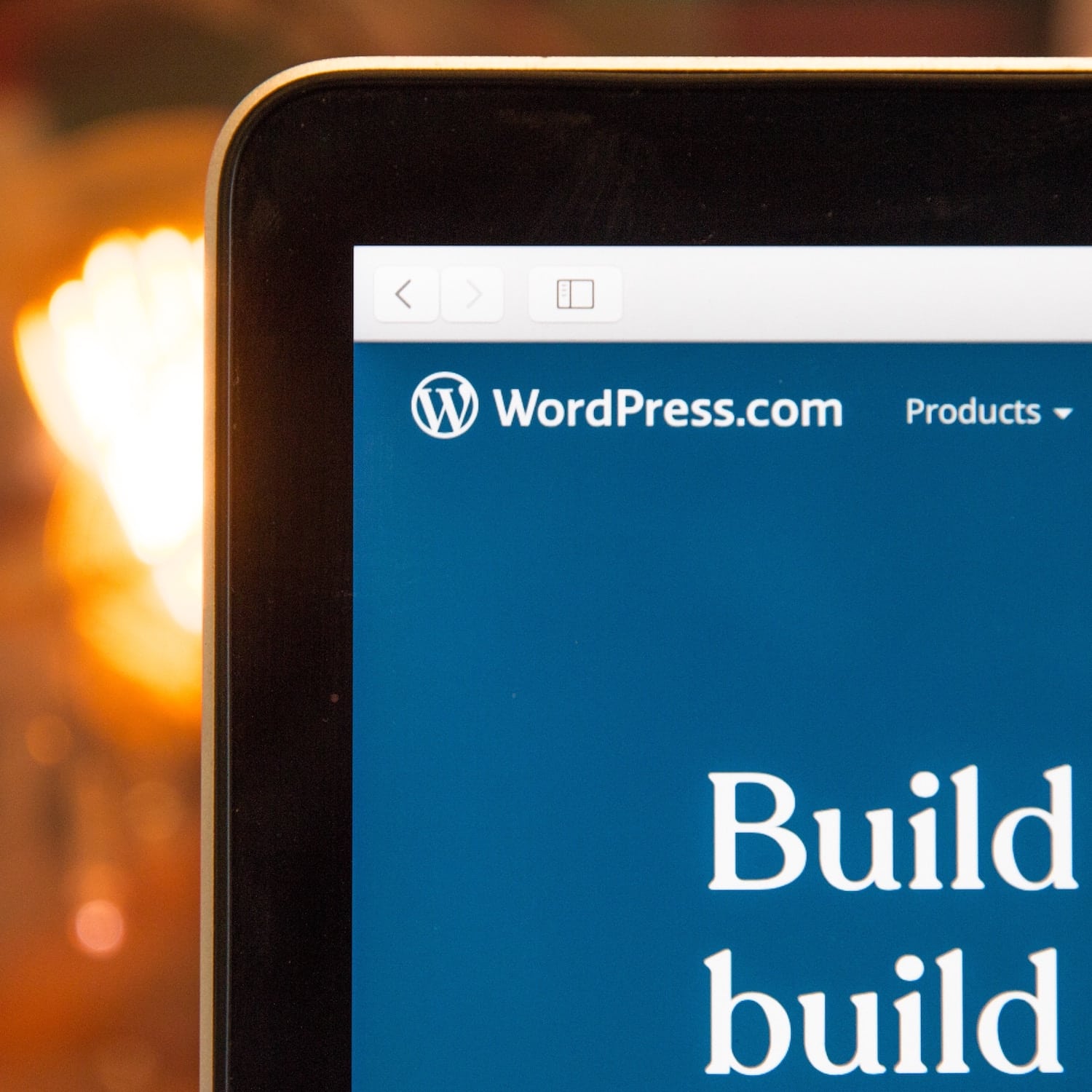Problemi di vulnerabilità su CMS WordPress